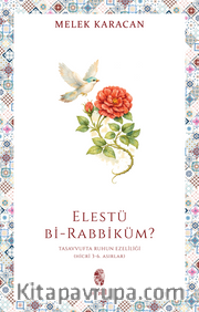 Elestü bi-Rabbiküm? <br /> Tasavvufta Ruhun Ezelîliği (Hicrî 3-6. Asırlar)