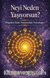 Neyi Neden Yaşıyorsun? & Bilgiden Hale: Numeroloji Yolculuğu
