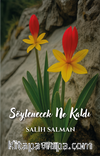 Söylenecek Ne Kaldı
