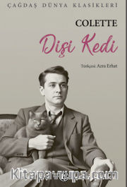 Dişi Kedi