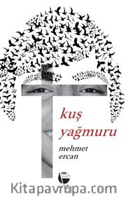 Kuş Yağmuru