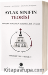 Aylak Sınıfın Teorisi