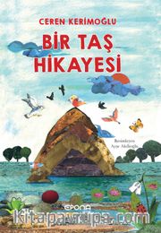Bir Taş Hikayesi