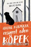 Hayal Kurmaya Cesaret Eden Köpek