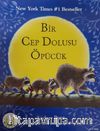 Minik Rakun Bir Cep Dolusu Öpücük
