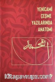 Yenicami Çeşme Yazılarında Anatomi