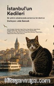 İstanbul'un Kedileri