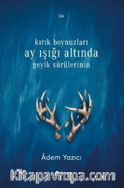 Kırık Boynuzları Ay Işığı Altında Geyik Sürülerinin