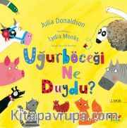 Uğur Böceği Ne Duydu?