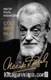 Çöle İnen Nur