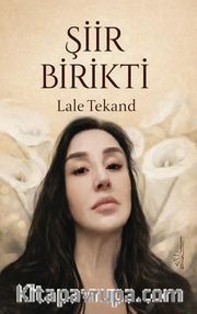 Şiir Birikti