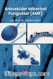 Arbusküler Mikorizal Funguslar (AMF)