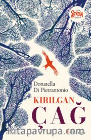 Kırılgan Çağ