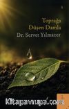 Toprağa Düşen Damla