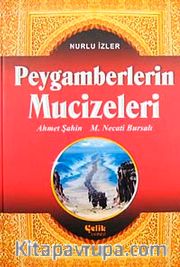Peygamberlerin Mucizeleri / Nurlu İzler