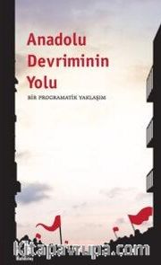 Anadolu Devriminin Yolu <br /> Bir Programatik Yaklaşım