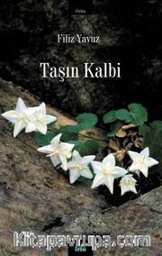 Taşın Kalbi
