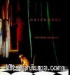 Natürmort