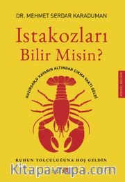 Istakozları Bilir Misin?