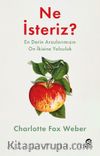 Ne İsteriz: En Derin Arzularımızın On İkisine Yolculuk