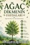 Ağaç Dikmenin Faydaları