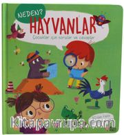 Neden? Hayvanlar - Pencereli Kitap