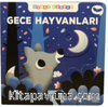 Oynat Keşfet - Gece Hayvanları