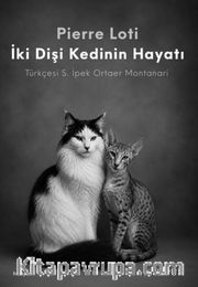 İki Dişi Kedinin Hayatı