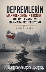 Depremlerin Makroekonomik Etkileri: Türkiye Analizi ve Marmara Projeksiyonu