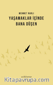 Yaşamaklar İçinde Bana Düşen
