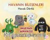 Havalı Dörtlü / Aro'nun Süprizi