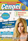 Fenomen Çengel Bulmaca 11