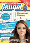 Fenomen Çengel Bulmaca 17