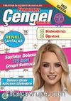 Fenomen Çengel Bulmaca 25