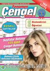 Fenomen Çengel Bulmaca 21