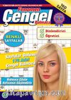 Fenomen Çengel Bulmaca 23