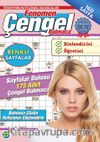Fenomen Çengel Bulmaca 27