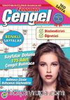 Fenomen Çengel Bulmaca 24