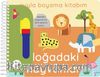 Suyla Boyama Kitabım / Doğadaki Hayvanlar