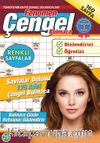 Fenomen Çengel Bulmaca 29