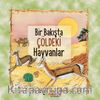 Bir Bakışta Çöldeki Hayvanlar