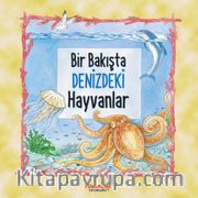 Bir Bakışta Denizdeki Hayvanlar