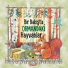 Bir Bakışta Ormandaki Hayvanlar