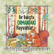 Bir Bakışta Ormandaki Hayvanlar