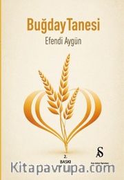 Buğday Tanesi