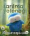 Sarılma Yeteneği