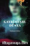 Gayrimeşru Dünya