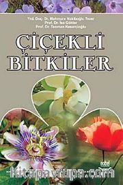 Çiçekli Bitkiler