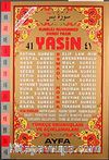 41 Yasin Türkçe Okunuşları ve Açıklamaları (Orta Boy Şamua Kod:011)