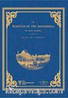 Beauties Of The Bosphorus